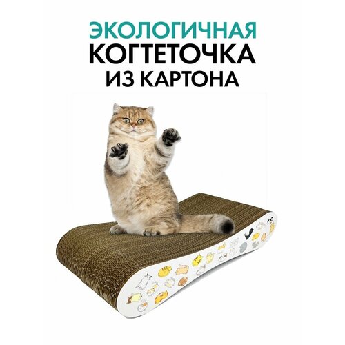 Когтеточка для кошки, картонная, лежанка, домик для кошки, игрушка, кошка