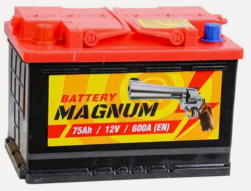 Изображение товара Аккумулятор автомобильный Magnum 75 А/ч 600 A прям. пол. Росс. авто (278x175x190)