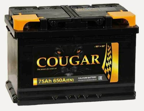 Изображение товара Аккумулятор автомобильный Cougar Power 75 А/ч 650 A прям. пол. Росс. авто (278x175x190)