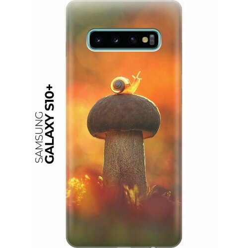 RE: PA Накладка Transparent для Samsung Galaxy S10+ с принтом Улитка и гриб re pa накладка transparent для samsung galaxy a6 plus 2018 с принтом улитка и гриб
