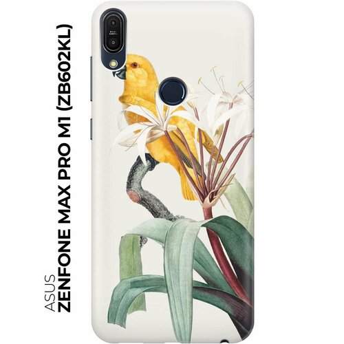 RE: PAЧехол - накладка ArtColor для Asus Zenfone Max Pro M1 (ZB602KL) с принтом Желтый попугай re paчехол накладка artcolor для asus zenfone max pro m1 zb602kl с принтом голубой глаз