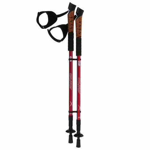 фото Палки для скандинавской ходьбы, телескопические, 3 секции, до 135 см нет бренда