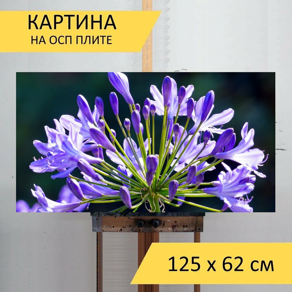 Картина на ОСП 125х62 см. 