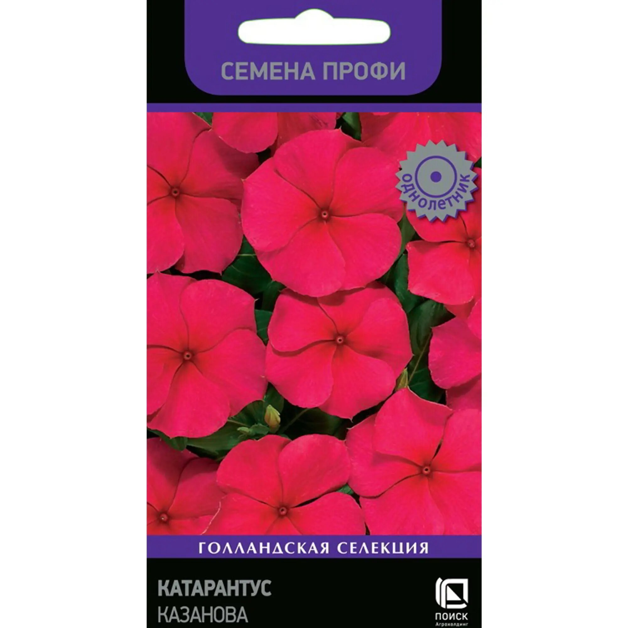 Семена цветов Поиск катарантус Казанова 10 шт. - фото №7
