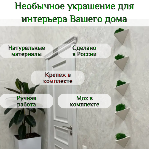 Вертикальное настенное кашпо со стабилизированным мхом, серия 