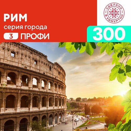 Пазл Рим 300 деталей Профи