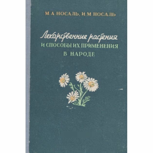 Лекарственные растения и способы их применения в народе - фото №12