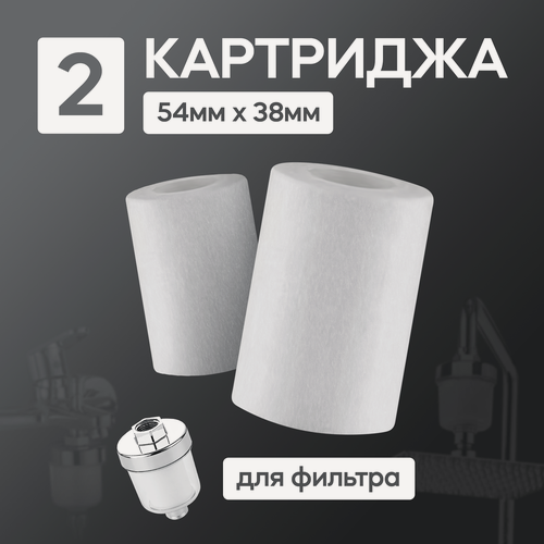 Изображение товара Картридж для душа PP, RT Glass, 54х38 мм , 2 шт, для жесткой воды