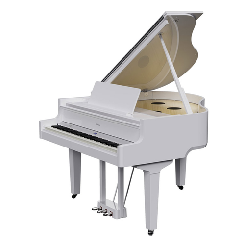 Roland gp 9 pw цифровой рояль, 88 клавиш черный, белый