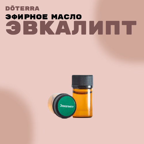 DoTERRA Эвкалипт Эфирное масло 2мл эфирное масло сельдерей doterra