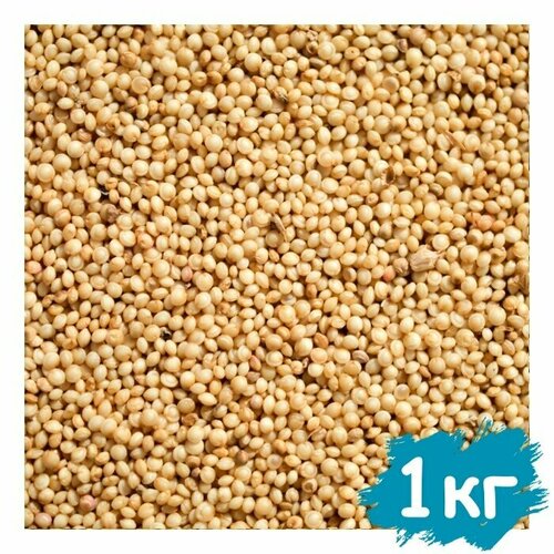 Семена амаранта 1 000 гр, 1 кг, пищевое зерно для проращивания, крупа для варки и заваривания, суперфуд для еды, амарант