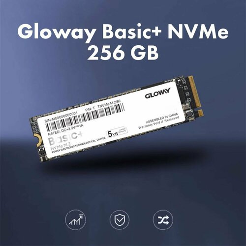 256 ГБ Внутренний SSD-диск Gloway Basic+, PCIe 3.0 x4, 2280, M.2, NVMe,