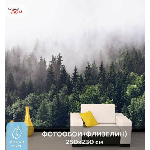 Фотообои на стену Модный Дом 