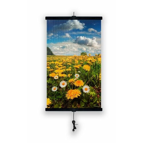 Инфракрасный пленочный обогреватель НЭО-450230 Поле 112000₽