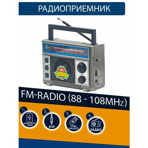Радиоприемник EPE FP-1367U silver 112600₽