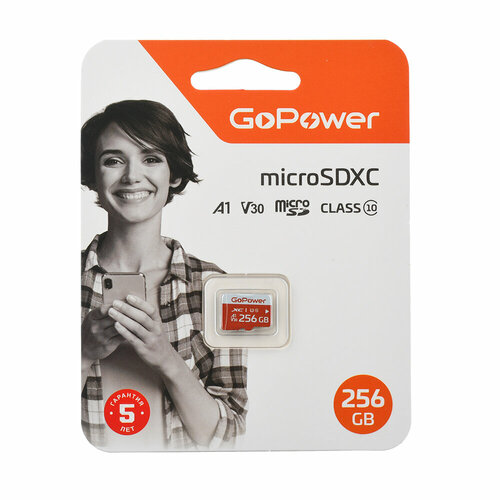 GoPower Карта памяти microSD GoPower 256GB Class10 UHS-I (U3) 100 МБ/сек V30 без адаптера карта памяти transcend uhs i u3 microsd 32gb ts32gusd500s