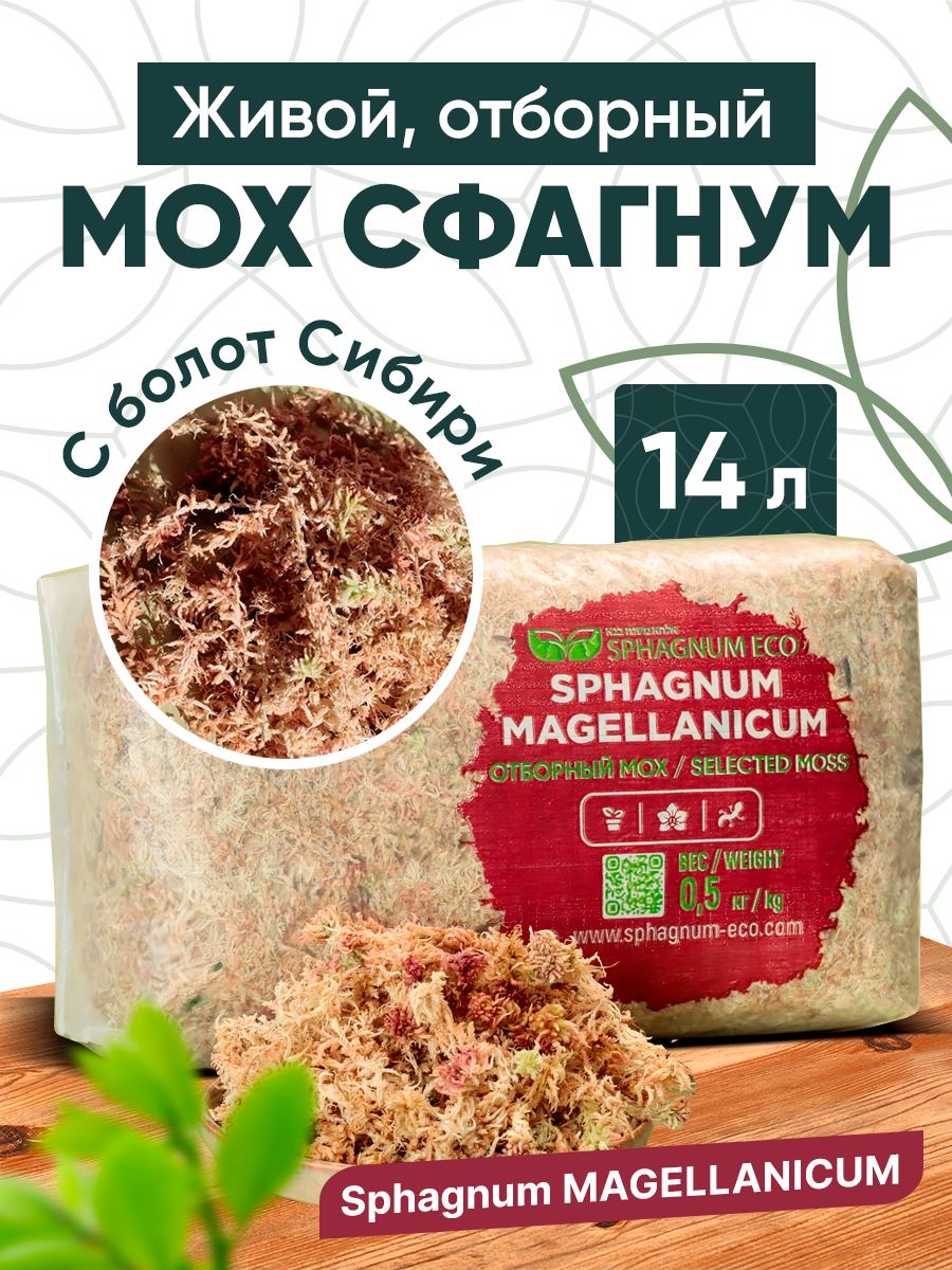 Мох сфагнум Magellanicum живой, отборный в пакете 14 л.