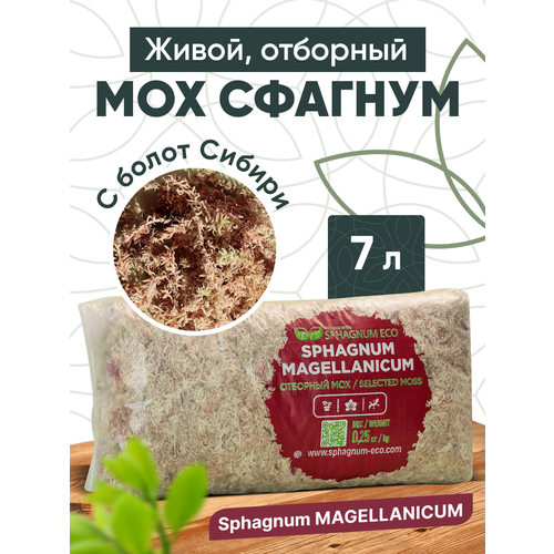 Живой мох Magellanicum в упаковке 7 литров мох сфагнум