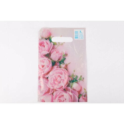 Пакет вырубной Ненси 20х30/30 мкм (100 шт.)