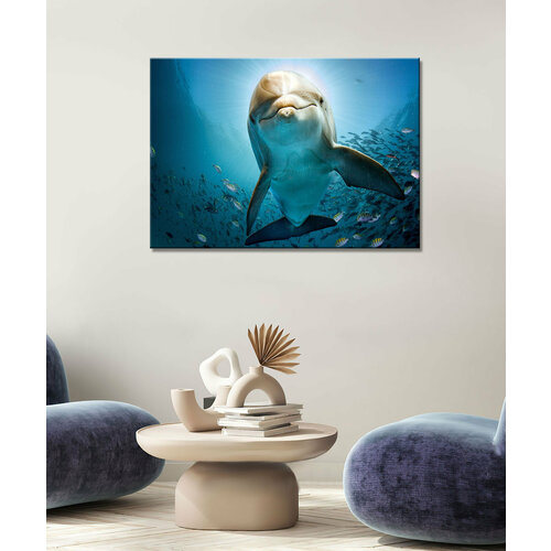 Картина - дельфин, экзотический дельфин, живая природа, дельфин в море (25) 50х70