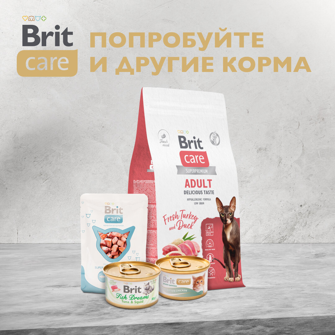 Влажный корм Brit Care для взрослых кошек, куриная грудка/сыр, 80г - фото №18