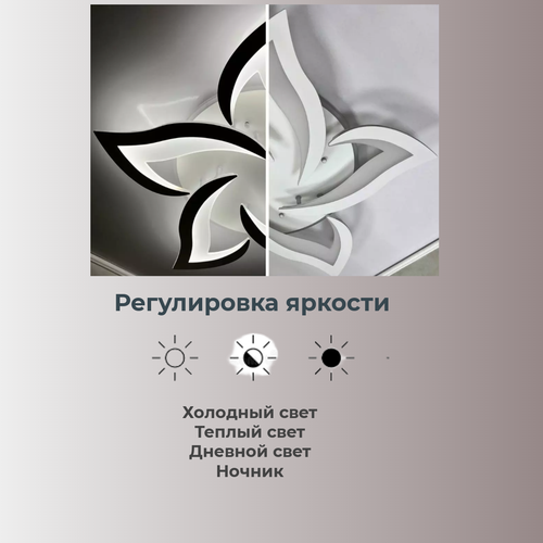 Люстра светодиодная потолочная c пультом Talmet 160W DCL231-WHITE/WHITE-220-IP20