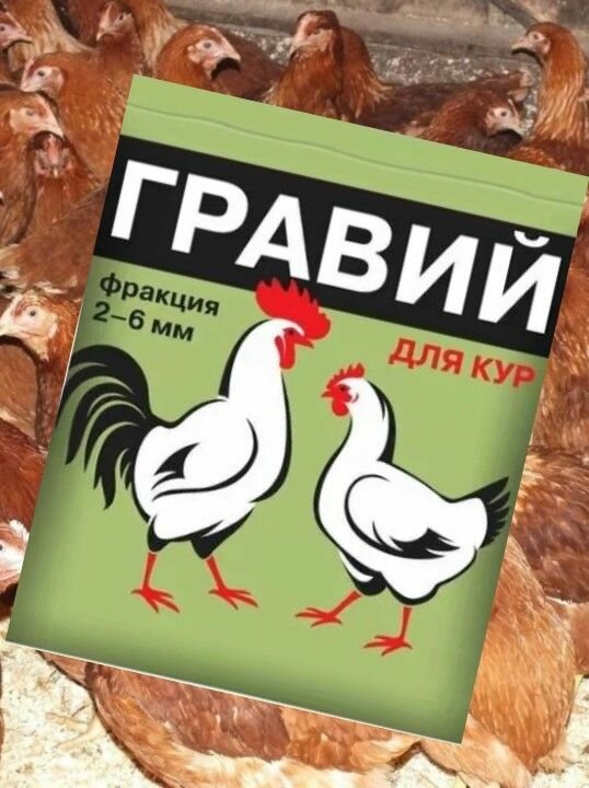 Комплект 10 упаковок. Гравий для кур 1кг, фракция 2-6мм ВХ - фотография № 1