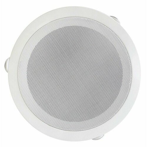 Громкоговоритель потолочный Alerto ACS-10 220000₽