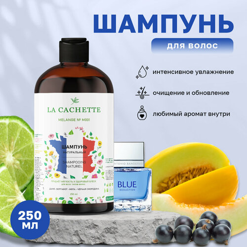 Шампунь для волос увлажняющий La Cachette M001 Blue Seduction, 250 мл шампунь для волос увлажняющий la cachette melange m001 blue seduction 250 мл с дозатором