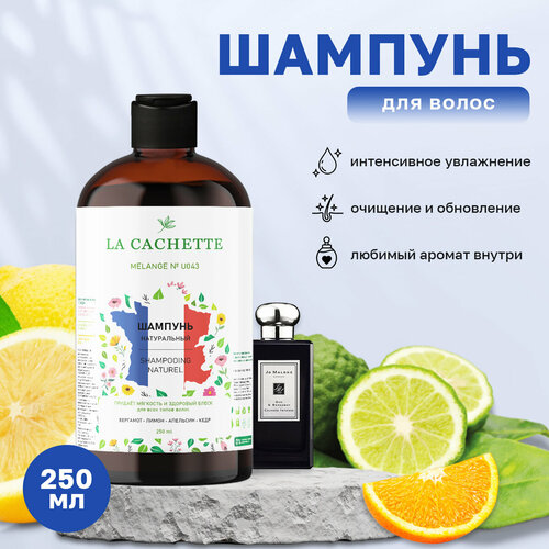 Шампунь для волос увлажняющий La Cachette U043 Oud & Bergamot, 250 мл