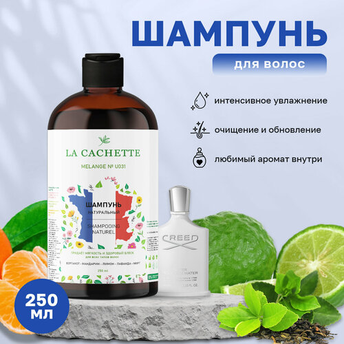 Шампунь для волос увлажняющий La Cachette U031 Silver Mountain Water, 250 мл шампунь для волос увлажняющий la cachette u031 silver mountain water 500 мл с дозатором