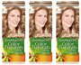 Garnier Color naturals Крем-краска для волос, оттенок 8, Пшеница, 12 шт