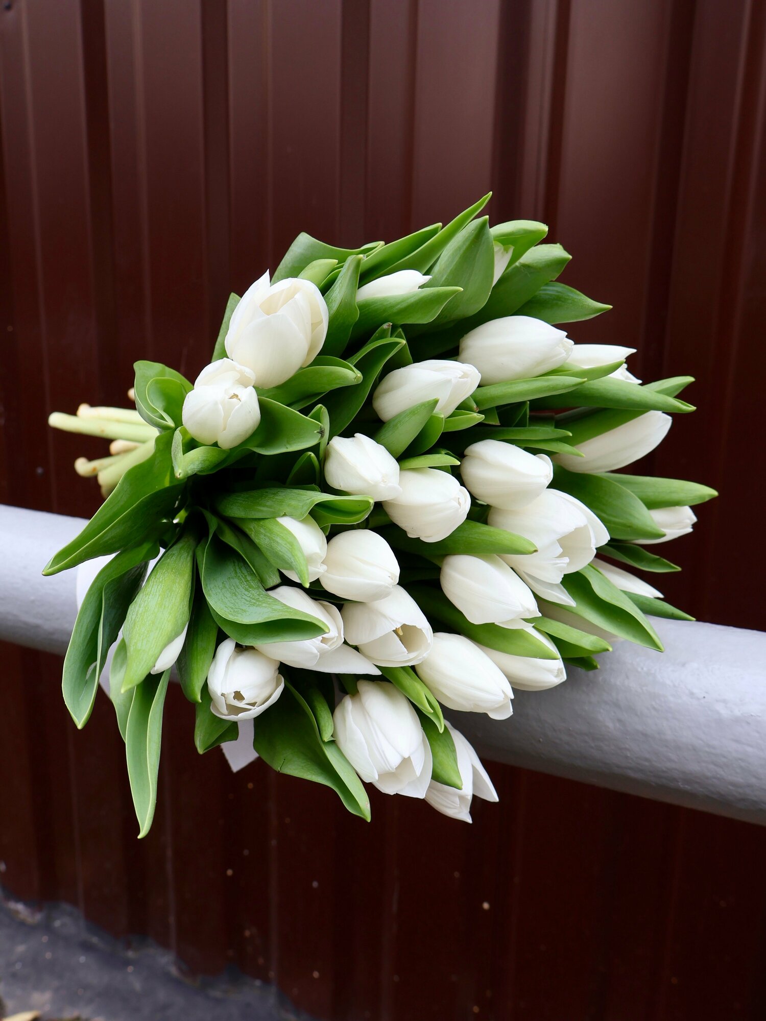 Букет из 25 тюльпанов "Белоснежные Хрустики"