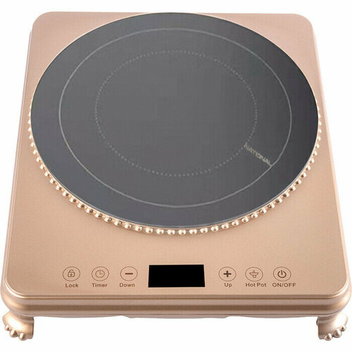 Кухонная плита National NK-IP910 360400₽