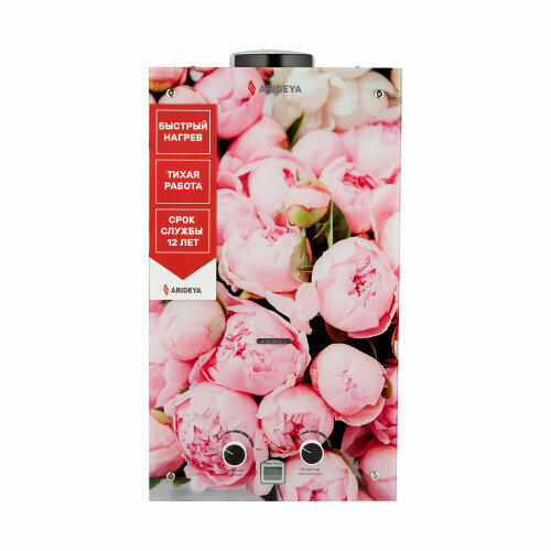 Водонагреватель проточный газовый Arideya JSD 20 G1 P Пионы 1285800₽