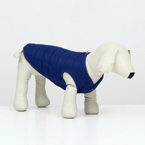 Куртка для собак Nice, размер M (ДС 30 см, ОШ 30 см, ОГ 38 см), синяя куртка для собак на молнии размер 12 дс 28 см ог 38 см ош 27 см синяя с жёлтым