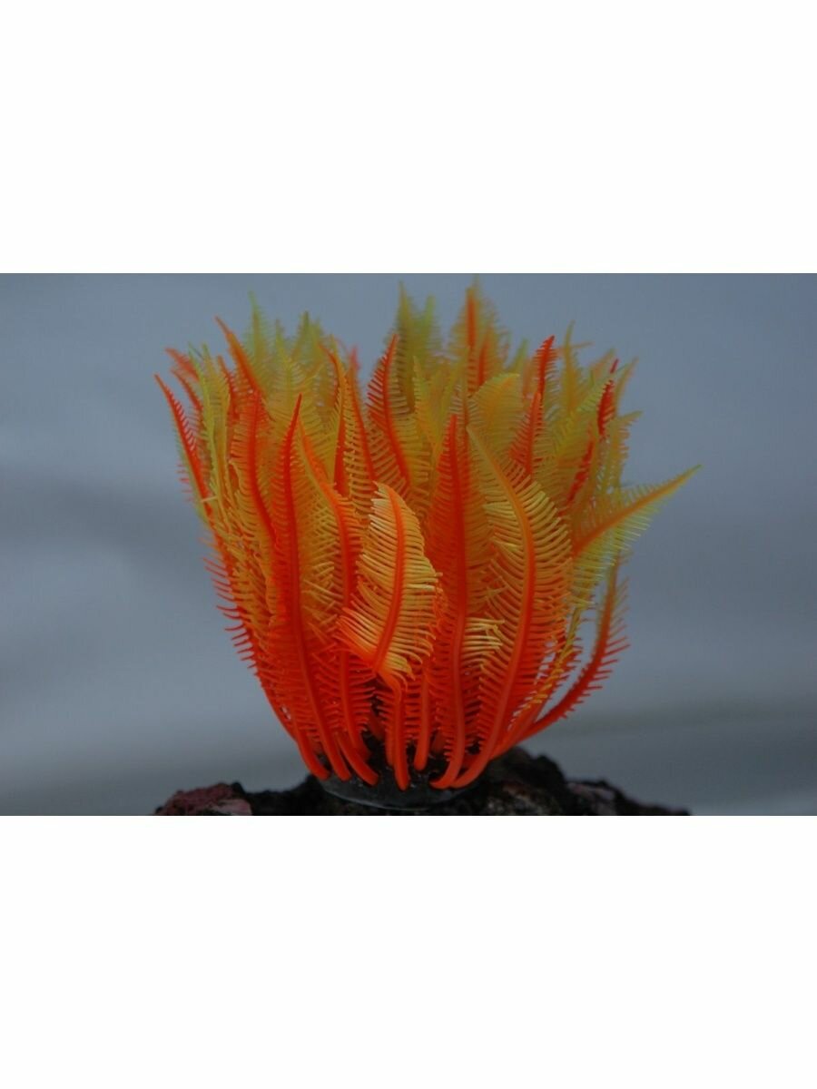 фото Декорация Vitality коралл силиконовый красный 4х4х12см