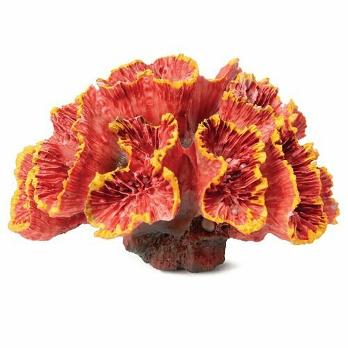 фото Laguna Коралл Laguna искусственный "Кауластрея", красная, 70х50х45 мм