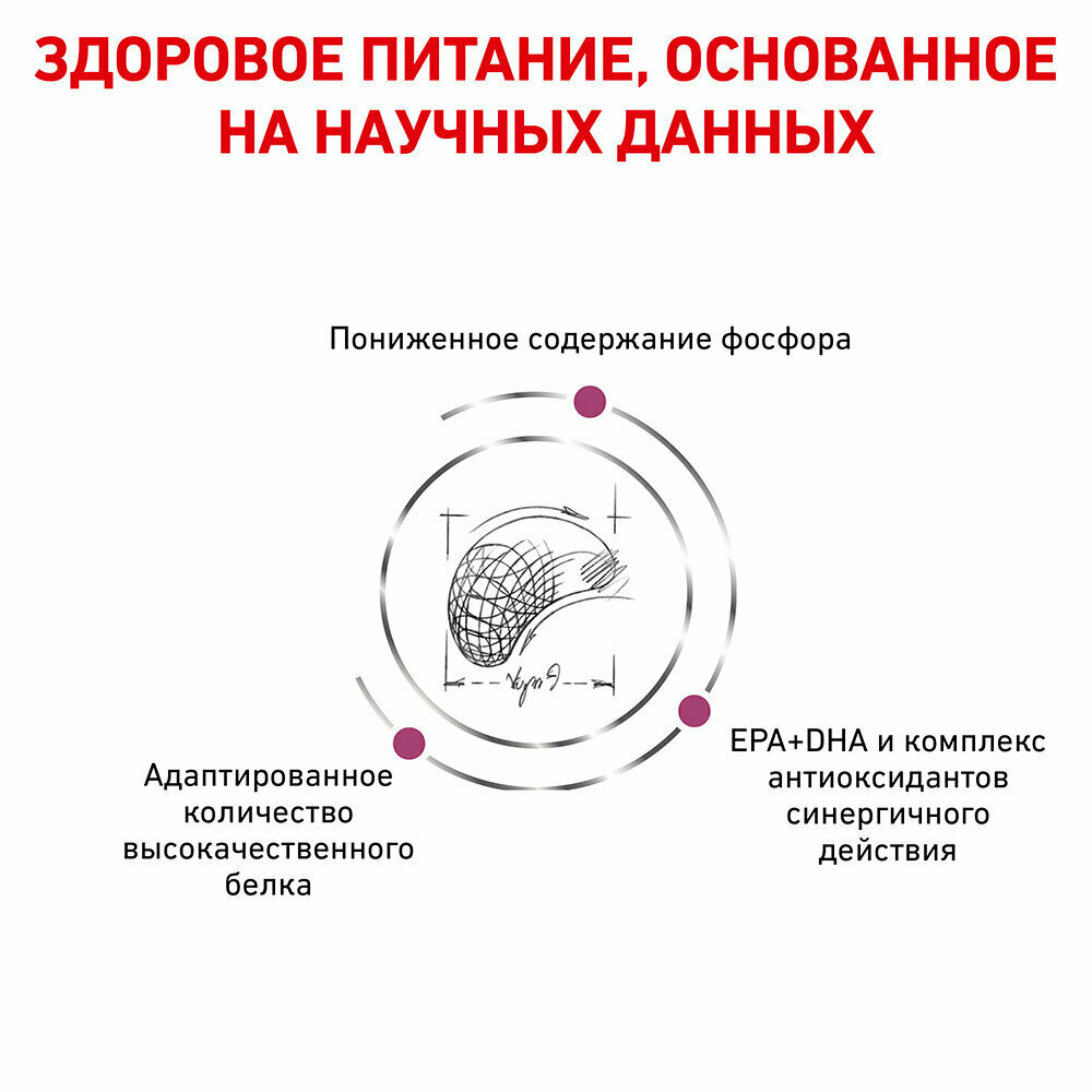 Сухой диетический корм Royal Canin Veterinary Diet Renal для взрослых собак при почечной недостаточности, 2кг - фото №11