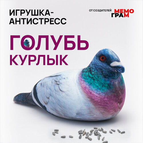 Мягкие игрушки, подушка антистресс голубь Курлык, для детей и взрослых