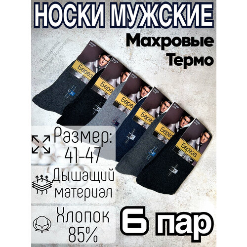 фото Носки береза, 6 пар, размер 41-47, черный, серый