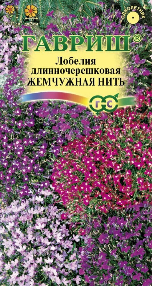 Семена Лобелия Жемчужная нить 001г эринус Одн смесь 12см (Гавриш)