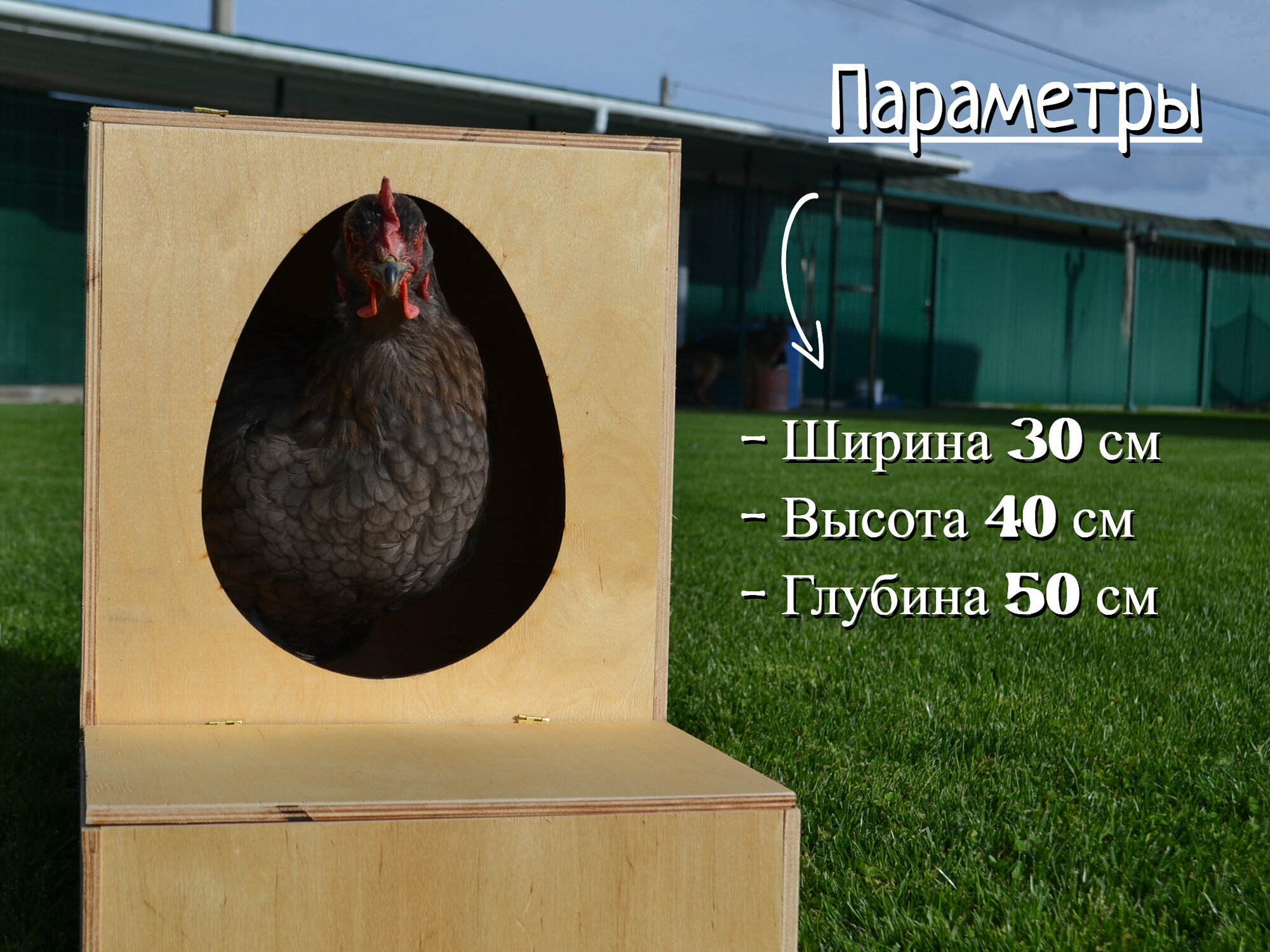 Гнездо для кур-несушек с яйцесборником с наклонной крышей - фотография № 3