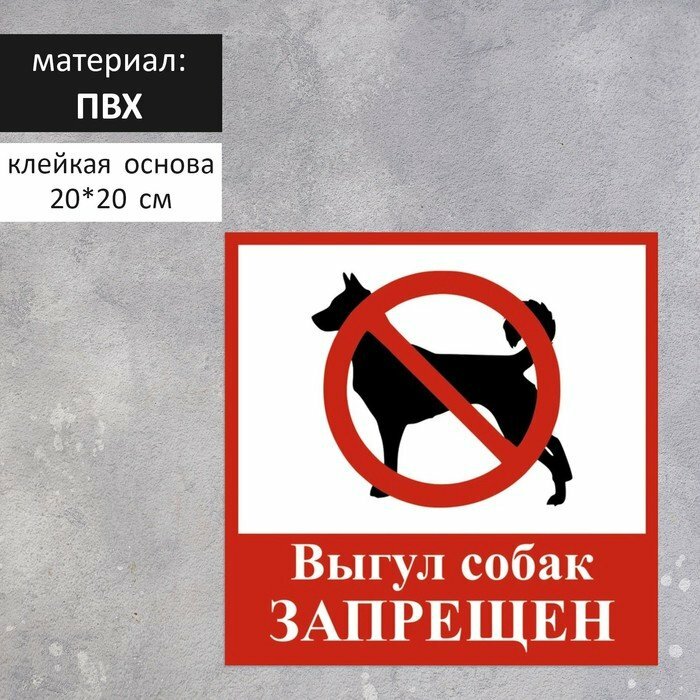 Табличка «выгул собак запрещён» 200×200, самоклеящаяся основа (комплект из 7 шт)