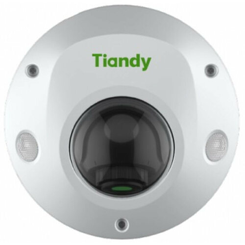 Камера видеонаблюдения IP Tiandy Pro TC-C32PS I3EYMH28V42 28-28мм корп белый 2012600₽