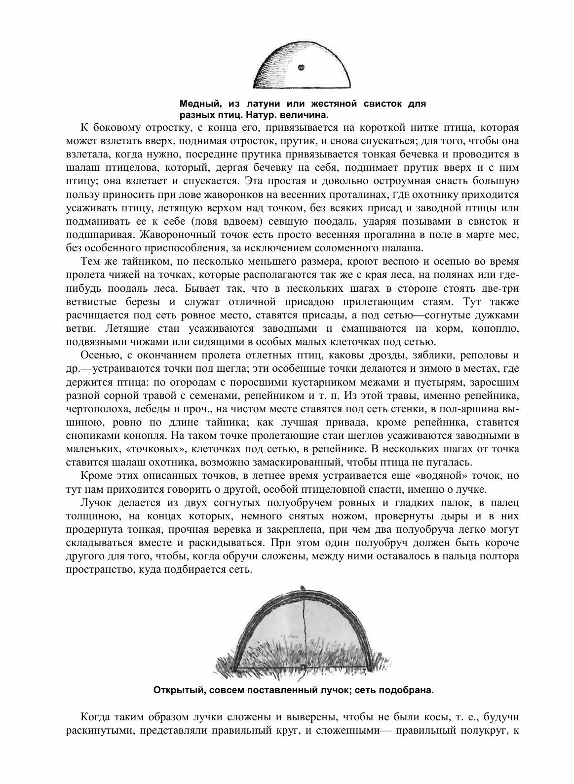 Наши певчие птицы. Их жизнь, ловля и правильное содержание в клетках - фото №9