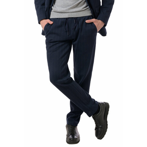 фото Брюки truvor, размер 54/170, синий