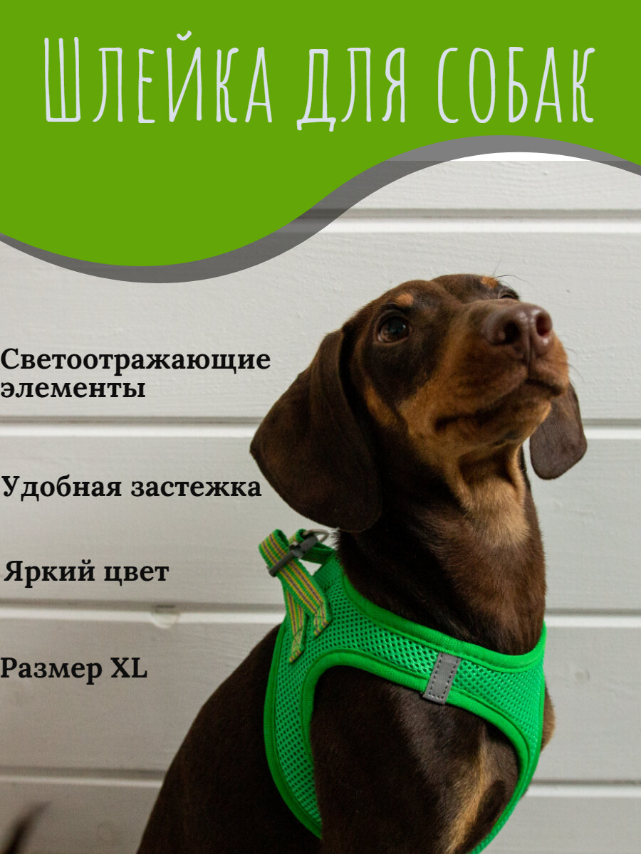 Прогулочная шлейка для собак мелких, средних пород со светоотражающими элементами, XL зёленая