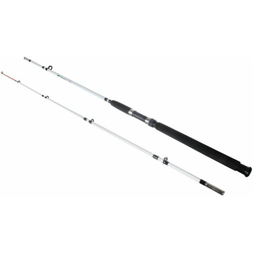 фото Спиннинг №621 - 2,1м штекер белый 621-210 feege ceimar