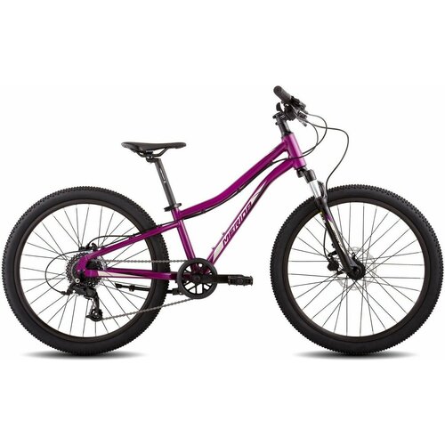 Велосипед Merida Matts J.24 Pro (2023) (Велосипед Merida Matts J.24 Pro Рама: One Size Purple/BlackChampagne, RU39726)